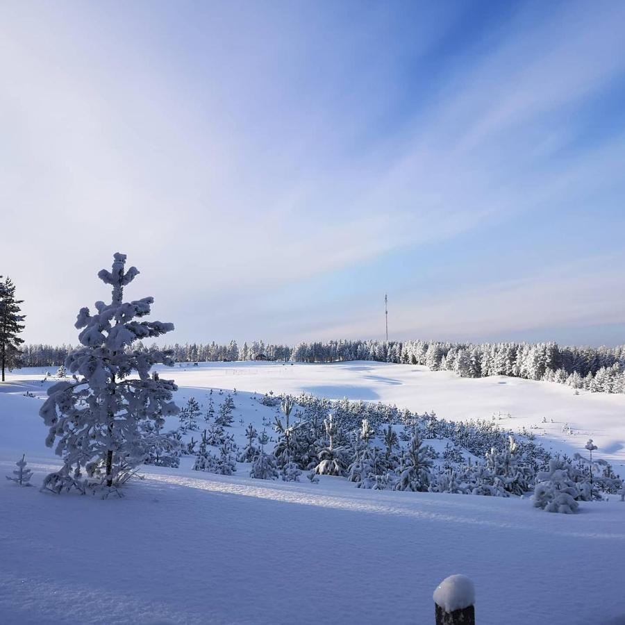 Villa Lotta Virttaa Buitenkant foto